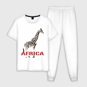 Мужская пижама хлопок с принтом Africa в городе Новоалтайск, 100% хлопок | брюки и футболка прямого кроя, без карманов, на брюках мягкая резинка на поясе и по низу штанин
 | africa | giraffa | safari | африка | животные | жираф | сафари