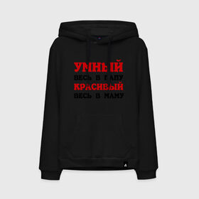 Мужская толстовка хлопок с принтом Умные и красивые в родителей в городе Новоалтайск, френч-терри, мягкий теплый начес внутри (100% хлопок) | карман-кенгуру, эластичные манжеты и нижняя кромка, капюшон с подкладом и шнурком | дети | красивый | мама | папа | ребенок | родители | родственники | семья | сын | сынишка | умный
