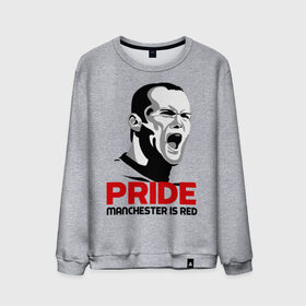 Мужской свитшот хлопок с принтом Pride Rooney в городе Новоалтайск, 100% хлопок |  | Тематика изображения на принте: manchester unided | манчестер | манчестр юнайтед | прайд руни