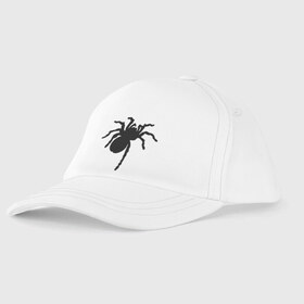 Детская бейсболка с принтом Паук (spider) в городе Новоалтайск, 100% хлопок | классический козырек, металлическая застежка-регулятор размера | насекомые | паутина | паучок | черная вдова | черный паук