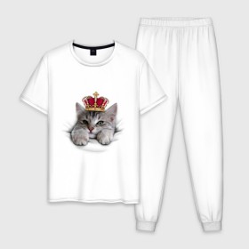 Мужская пижама хлопок с принтом Pretty kitten в городе Новоалтайск, 100% хлопок | брюки и футболка прямого кроя, без карманов, на брюках мягкая резинка на поясе и по низу штанин
 | kitten | meow | meow kitten | киса | корона | корона на голове кота | кот | кот с короной | котик | котэ | котяра | кошка | прикольный кот