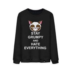 Мужской свитшот хлопок с принтом Stay grumpy and hate everything в городе Новоалтайск, 100% хлопок |  | грустный кот | интернет приколы | кот мем | котенок | котик | кошка | хмурый кот