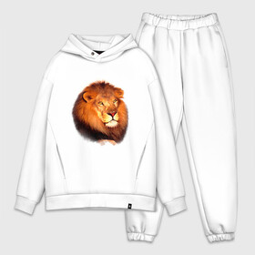 Мужской костюм хлопок OVERSIZE с принтом Лев в городе Новоалтайск,  |  | animals | lion | mountain | животные | лев | прикольные картинки