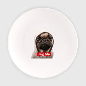 Тарелка с принтом Pug life в городе Новоалтайск, фарфор | диаметр - 210 мм
диаметр для нанесения принта - 120 мм | pug life | жизнь | капюшон | мопс | собака