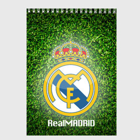 Скетчбук с принтом Real Madrid в городе Новоалтайск, 100% бумага
 | 48 листов, плотность листов — 100 г/м2, плотность картонной обложки — 250 г/м2. Листы скреплены сверху удобной пружинной спиралью | real madrid | реал мадрид | спорт | фк | футбол