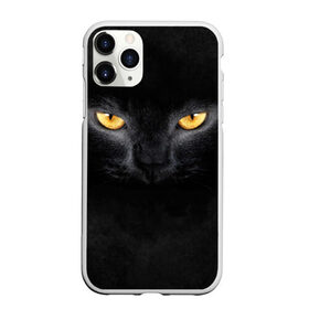 Чехол для iPhone 11 Pro Max матовый с принтом Черная кошка в городе Новоалтайск, Силикон |  | Тематика изображения на принте: глаза | киса | кот | котик | кошка | черная кошка