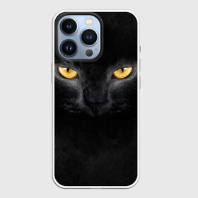 Чехол для iPhone 13 Pro с принтом Черная кошка в городе Новоалтайск,  |  | Тематика изображения на принте: глаза | киса | кот | котик | кошка | черная кошка