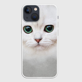 Чехол для iPhone 13 mini с принтом Белый котик в городе Новоалтайск,  |  | Тематика изображения на принте: белая кошка | киса | кот | котик | кошка