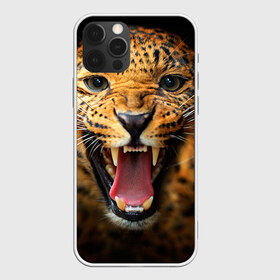 Чехол для iPhone 12 Pro Max с принтом Леопард в городе Новоалтайск, Силикон |  | киса | кошка | леопард | хищник