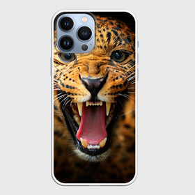 Чехол для iPhone 13 Pro Max с принтом Леопард в городе Новоалтайск,  |  | киса | кошка | леопард | хищник