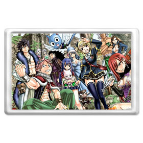 Магнит 45*70 с принтом Fairy tail в городе Новоалтайск, Пластик | Размер: 78*52 мм; Размер печати: 70*45 | anime | fairy tail | аниме | фейри тейл | хвост феи