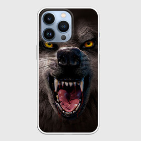 Чехол для iPhone 13 Pro с принтом Злой волк в городе Новоалтайск,  |  | Тематика изображения на принте: волк | животные | злой волк | зубы | оскал