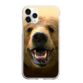 Чехол для iPhone 11 Pro матовый с принтом Мишка в городе Новоалтайск, Силикон |  | бурый | гризли | животные | медведь | мишка