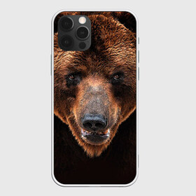 Чехол для iPhone 12 Pro Max с принтом Медведь в городе Новоалтайск, Силикон |  | бурый | гризли | животные | медведь | мишка