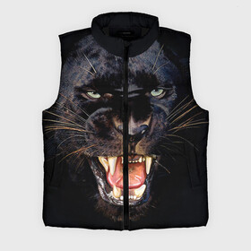 Мужской жилет утепленный 3D с принтом Пантера в городе Новоалтайск,  |  | животные | зубы | киса | киска | кошка | оскал | пантера