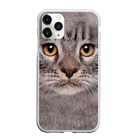 Чехол для iPhone 11 Pro матовый с принтом Котик в городе Новоалтайск, Силикон |  | животное | киса | кот | котик | кошка