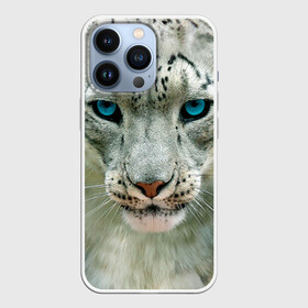 Чехол для iPhone 13 Pro с принтом Снежный барс в городе Новоалтайск,  |  | Тематика изображения на принте: барс | животные | кошка | снежный барс