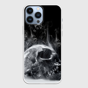 Чехол для iPhone 13 Pro Max с принтом Skull в городе Новоалтайск,  |  | skull | skulls | череп | черепа