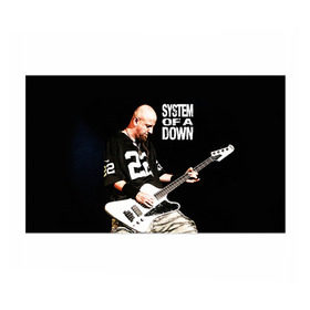 Бумага для упаковки 3D с принтом System of a Down в городе Новоалтайск, пластик и полированная сталь | круглая форма, металлическое крепление в виде кольца | Тематика изображения на принте: hard rock | metal | rock | serj | system of a down | tankian | метал | рок | систем | танкян | хардрок