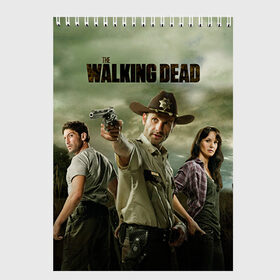 Скетчбук с принтом The Walking Dead в городе Новоалтайск, 100% бумага
 | 48 листов, плотность листов — 100 г/м2, плотность картонной обложки — 250 г/м2. Листы скреплены сверху удобной пружинной спиралью | зомби