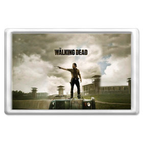 Магнит 45*70 с принтом The Walking Dead в городе Новоалтайск, Пластик | Размер: 78*52 мм; Размер печати: 70*45 | зомби
