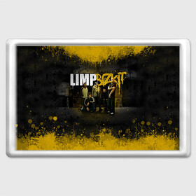 Магнит 45*70 с принтом Limp Bizkit в городе Новоалтайск, Пластик | Размер: 78*52 мм; Размер печати: 70*45 | bizkit | limp | limp bizkit | бизкит | лимп | лимп бизкит | лимпбизкит | рок