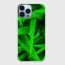 Чехол для iPhone 13 Pro Max с принтом Трава в городе Новоалтайск,  |  | Тематика изображения на принте: зеленый | макро | яркий