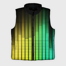 Мужской жилет утепленный 3D с принтом Эквалайзер в городе Новоалтайск,  |  | equalizer | звук