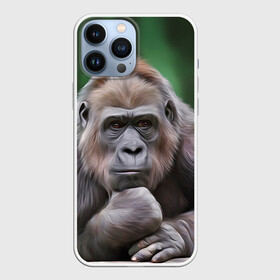 Чехол для iPhone 13 Pro Max с принтом Обезьяна в городе Новоалтайск,  |  | 2016 | мартышка | обезьяна | с новым годом | символ нг