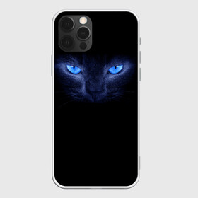 Чехол для iPhone 12 Pro с принтом Кошка с голубыми глазами в городе Новоалтайск, силикон | область печати: задняя сторона чехла, без боковых панелей | глаза | кот | синий