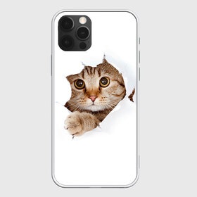 Чехол для iPhone 12 Pro Max с принтом Котик в городе Новоалтайск, Силикон |  | кот | котенок | котик | кошка | милый