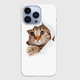 Чехол для iPhone 13 Pro с принтом Котик в городе Новоалтайск,  |  | Тематика изображения на принте: кот | котенок | котик | кошка | милый