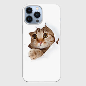 Чехол для iPhone 13 Pro Max с принтом Котик в городе Новоалтайск,  |  | Тематика изображения на принте: кот | котенок | котик | кошка | милый