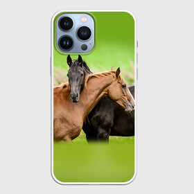 Чехол для iPhone 13 Pro Max с принтом Лошади 2 в городе Новоалтайск,  |  | Тематика изображения на принте: horse | horseshoe | акварель | головалошади | грива | единорог | жеребец | животные | конь | лошадь | лошадьскрыльями | подкова | природа | рисуноккрасками