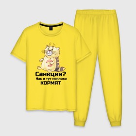 Мужская пижама хлопок с принтом Кот в городе Новоалтайск, 100% хлопок | брюки и футболка прямого кроя, без карманов, на брюках мягкая резинка на поясе и по низу штанин
 | 