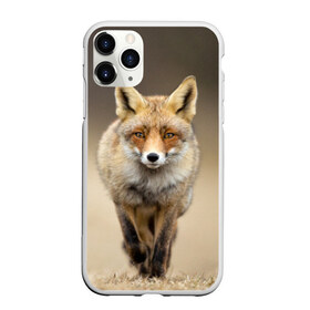 Чехол для iPhone 11 Pro матовый с принтом Лиса бежит в городе Новоалтайск, Силикон |  | лиса