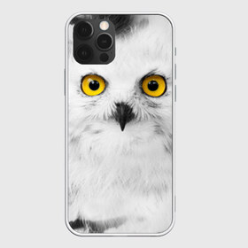 Чехол для iPhone 12 Pro Max с принтом Сова 2 в городе Новоалтайск, Силикон |  | сова