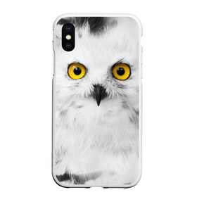 Чехол для iPhone XS Max матовый с принтом Сова 2 в городе Новоалтайск, Силикон | Область печати: задняя сторона чехла, без боковых панелей | сова