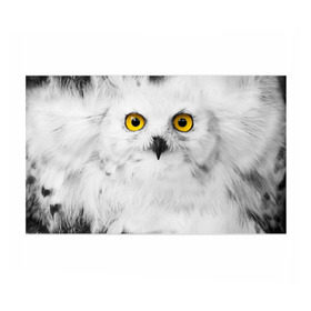 Бумага для упаковки 3D Сова 2: в городе Новоалтайск, пластик и полированная сталь | круглая форма, металлическое крепление в виде кольца | сова