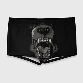 Мужские купальные плавки 3D с принтом Grizzly bear в городе Новоалтайск, Полиэстер 85%, Спандекс 15% |  | bear | балалайка | водка | медведь