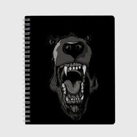 Тетрадь с принтом Grizzly bear в городе Новоалтайск, 100% бумага | 48 листов, плотность листов — 60 г/м2, плотность картонной обложки — 250 г/м2. Листы скреплены сбоку удобной пружинной спиралью. Уголки страниц и обложки скругленные. Цвет линий — светло-серый
 | bear | балалайка | водка | медведь