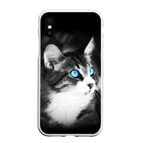 Чехол для iPhone XS Max матовый с принтом Кот в городе Новоалтайск, Силикон | Область печати: задняя сторона чехла, без боковых панелей | взгляд | глаза | голубые | кот