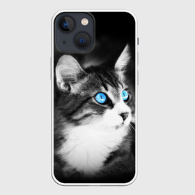 Чехол для iPhone 13 mini с принтом Кот в городе Новоалтайск,  |  | взгляд | глаза | голубые | кот