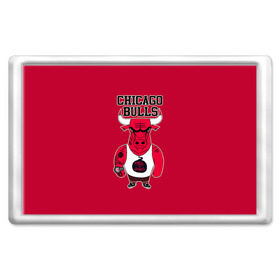 Магнит 45*70 с принтом Chicago bulls в городе Новоалтайск, Пластик | Размер: 78*52 мм; Размер печати: 70*45 | Тематика изображения на принте: basketball | chicago | chicago bulls | nba | баскет | баскетбол | баскетбольный | булс | нба | спорт | чикаго | чикаго булс