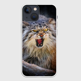 Чехол для iPhone 13 mini с принтом Дикий кот в городе Новоалтайск,  |  | дикий | животное | кот | котэ | кошка