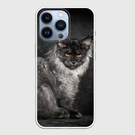 Чехол для iPhone 13 Pro с принтом Кот в городе Новоалтайск,  |  | Тематика изображения на принте: домашняя | животное | кот | котэ | кошка