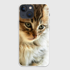 Чехол для iPhone 13 mini с принтом Кот в городе Новоалтайск,  |  | домашняя | животное | кот | котэ | кошка