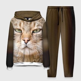 Мужской костюм 3D (с толстовкой) с принтом Кот в городе Новоалтайск,  |  | дикий | животное | кот | котэ | кошка