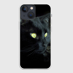 Чехол для iPhone 13 mini с принтом Черный в городе Новоалтайск,  |  | домашняя | животное | кот | котэ | кошка | черный