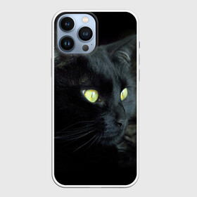 Чехол для iPhone 13 Pro Max с принтом Черный в городе Новоалтайск,  |  | Тематика изображения на принте: домашняя | животное | кот | котэ | кошка | черный